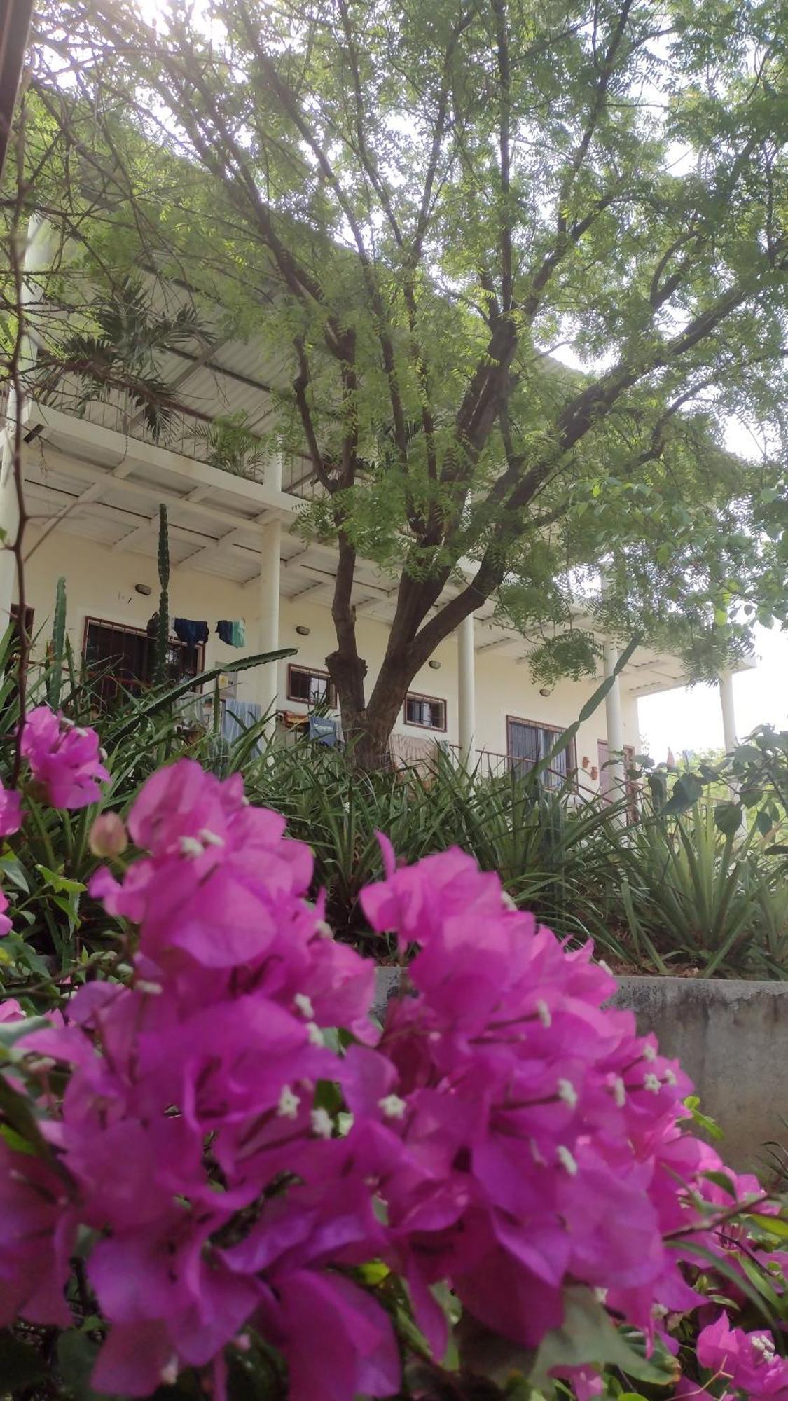 Casa Todo Bueno Bed & Breakfast Transito ภายนอก รูปภาพ