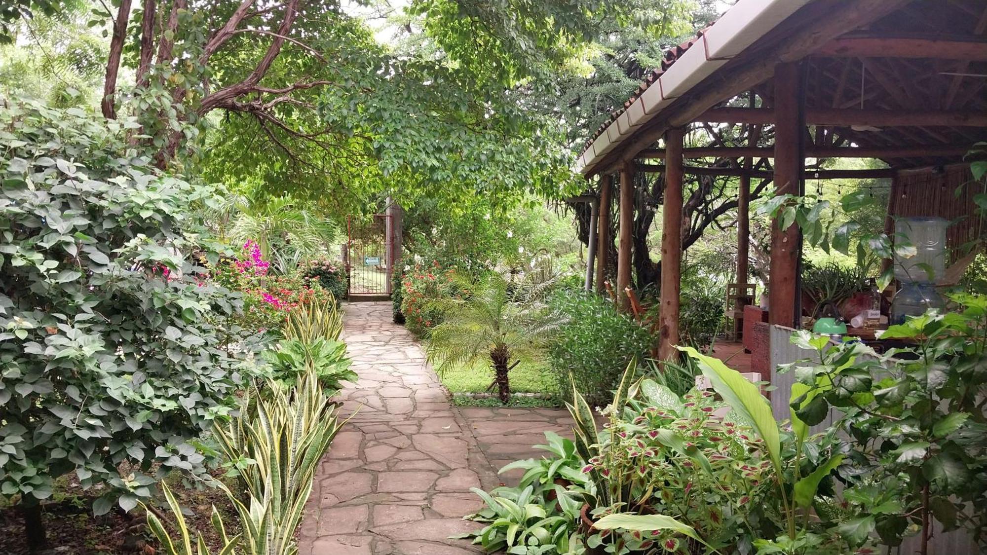 Casa Todo Bueno Bed & Breakfast Transito ภายนอก รูปภาพ