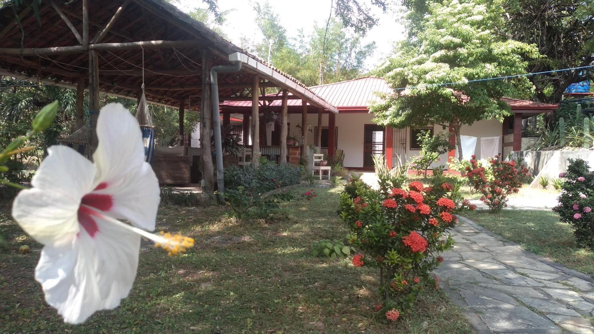 Casa Todo Bueno Bed & Breakfast Transito ภายนอก รูปภาพ